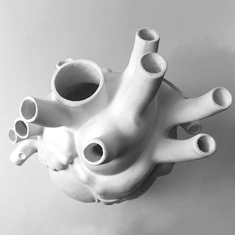 dropship Vase In The Shape Of Human Heart, Home Decoration, Desktop Art Craft Ornament, Exquisite And High-end Indoor Vase, Organ Design Flower Container, Halloween