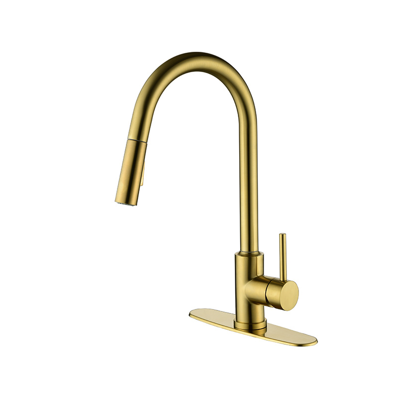 dropship Pull Down Sprayer Kitchen Faucet