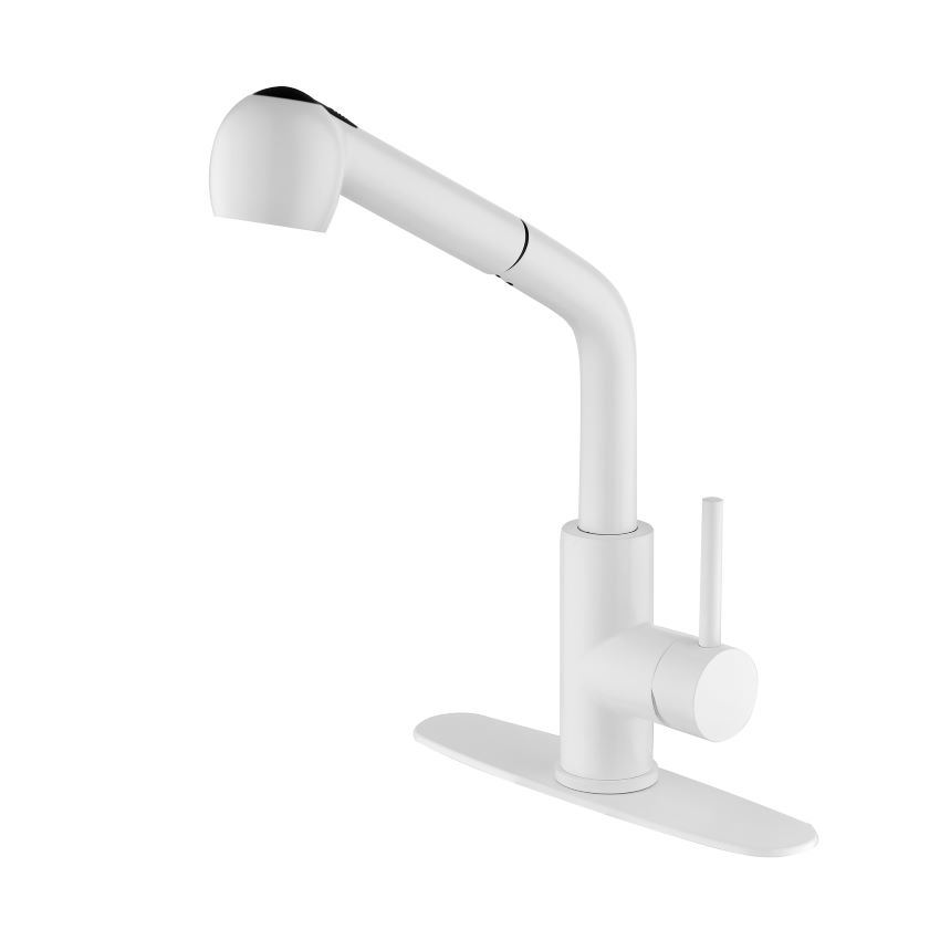 dropship Single Handle Pull Down Sprayer Kitchen Sink Faucet