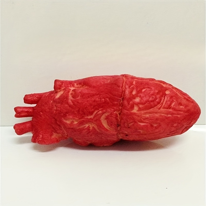 dropship Halloween Decor, Halloween Props, Realistic Trick Toys, Horror Props, Heart-breaking Props, Simulated Heart