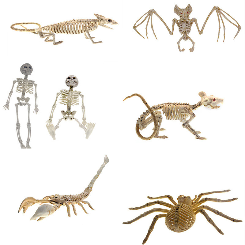 dropship Spook Up Your Halloween Decor with This Vivid Bat Skeleton Model