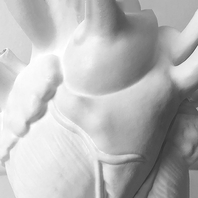 dropship Vase In The Shape Of Human Heart, Home Decoration, Desktop Art Craft Ornament, Exquisite And High-end Indoor Vase, Organ Design Flower Container, Halloween