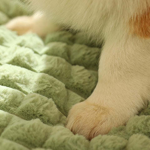 dropship Pet Bed with Attached Pillow
